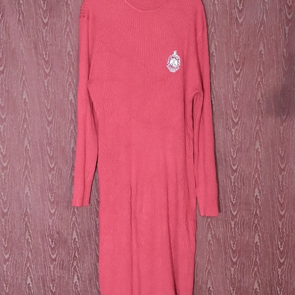 Delta Sigma Theta Red Sweater Turtle Neck Dress Embroidered Size XXXXL New - Picture 3 of 14